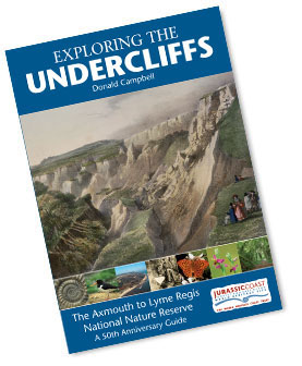 [IMAGE] Exploring the Undercliffs